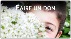 Banner Faire un don