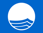 Blue Flag logo