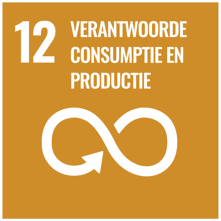 SDG 12: Verantwoorde consumptie en productie