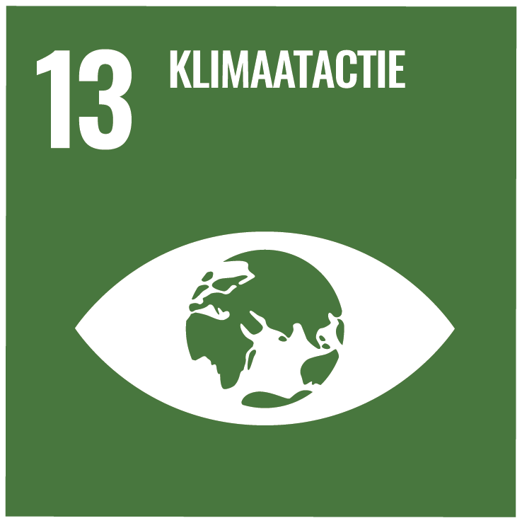 SDG 13: Klimaatactie
