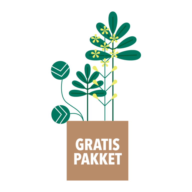 Mini Bos: gezellig, groen en gezond - GoodPlanet Belgium