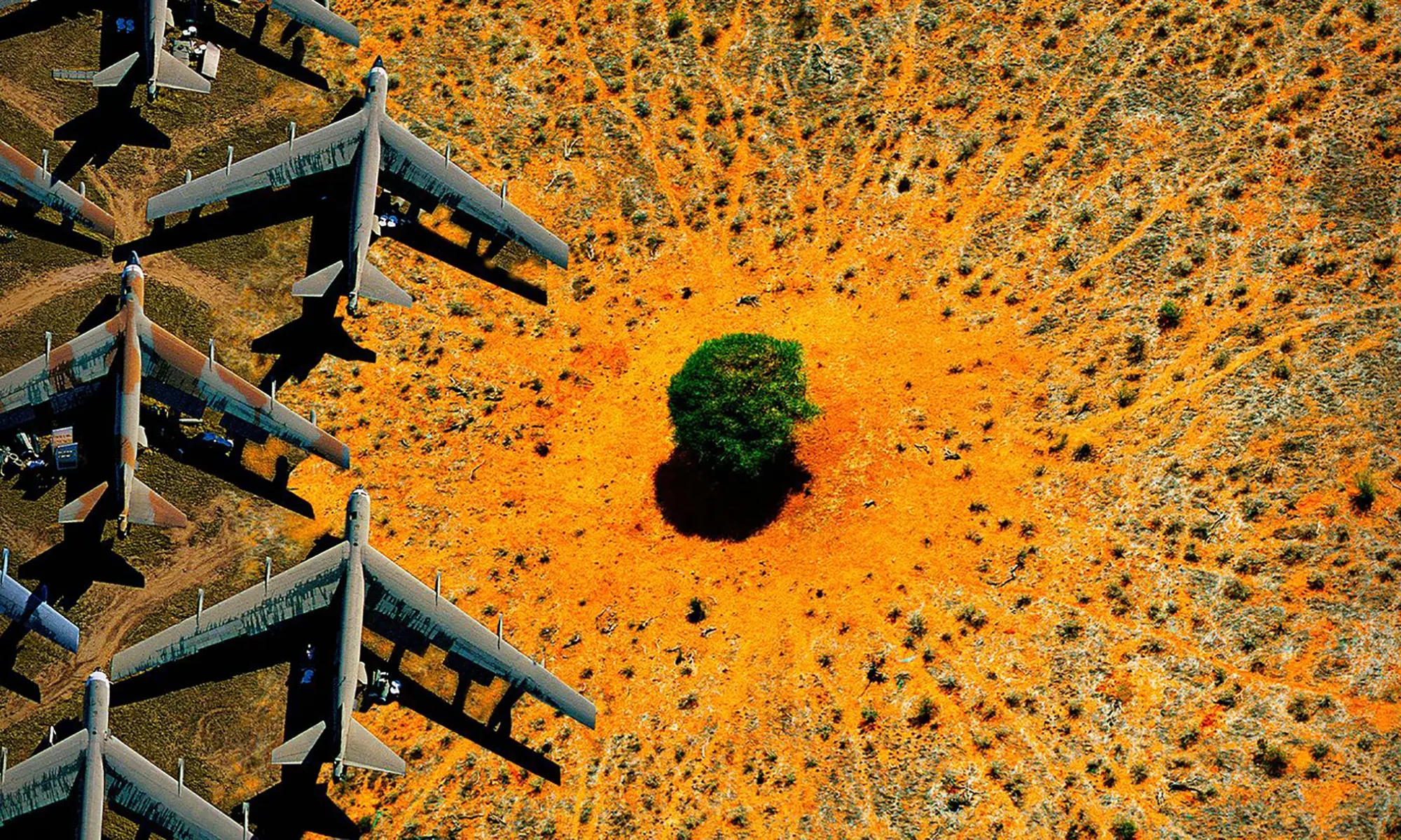 NATURE, pour une réconciliation - Film de Yann Arthus-Bertrand
